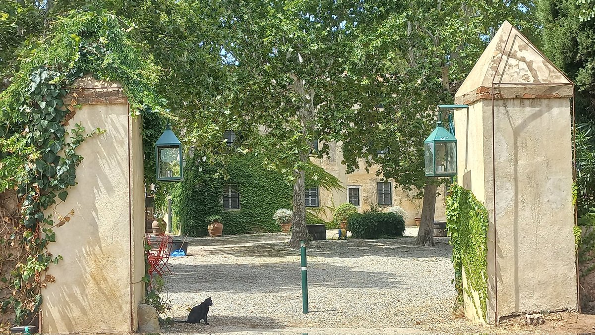 Simona_Ti's tweet image. Con un po' di quiete..
#BuonaDomenica
#AnticaFattoriaLaParrina #Orbetello
#Toscana #BellaItalia 💚