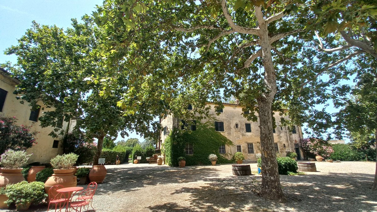 Simona_Ti's tweet image. Con un po' di quiete..
#BuonaDomenica
#AnticaFattoriaLaParrina #Orbetello
#Toscana #BellaItalia 💚