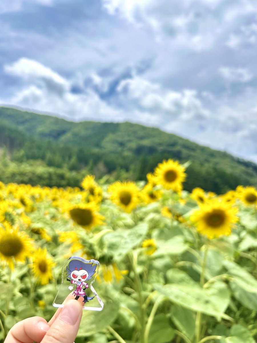 clematis205's tweet image. ひまわり畑行ってきた！
ぼくなつを思い出して楽しかった🌻