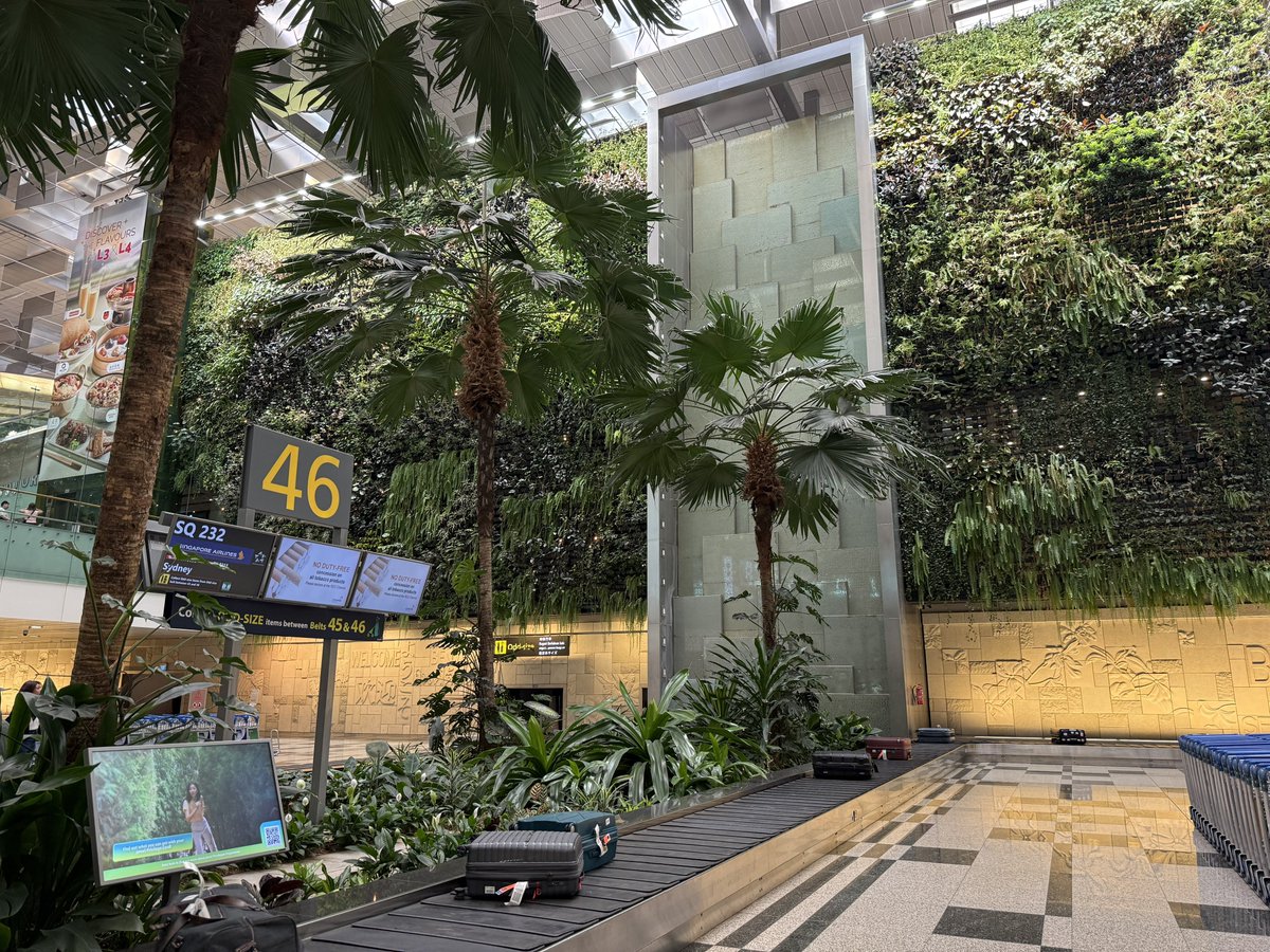 fictillius's tweet image. Guess the airport