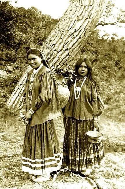 native_history_'s tweet image. 