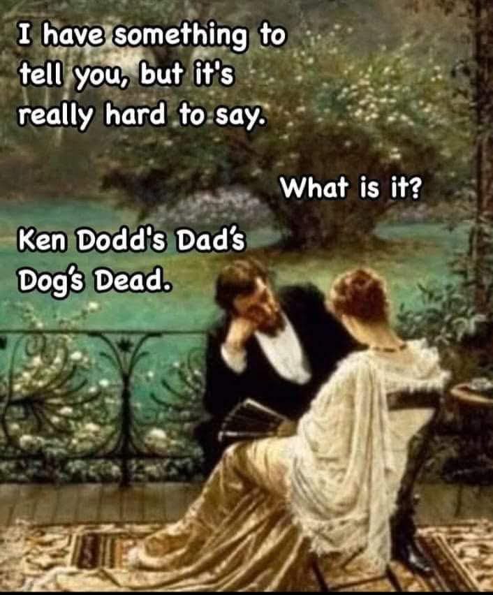 Morning scamps 🤣😂😂🫡🫠