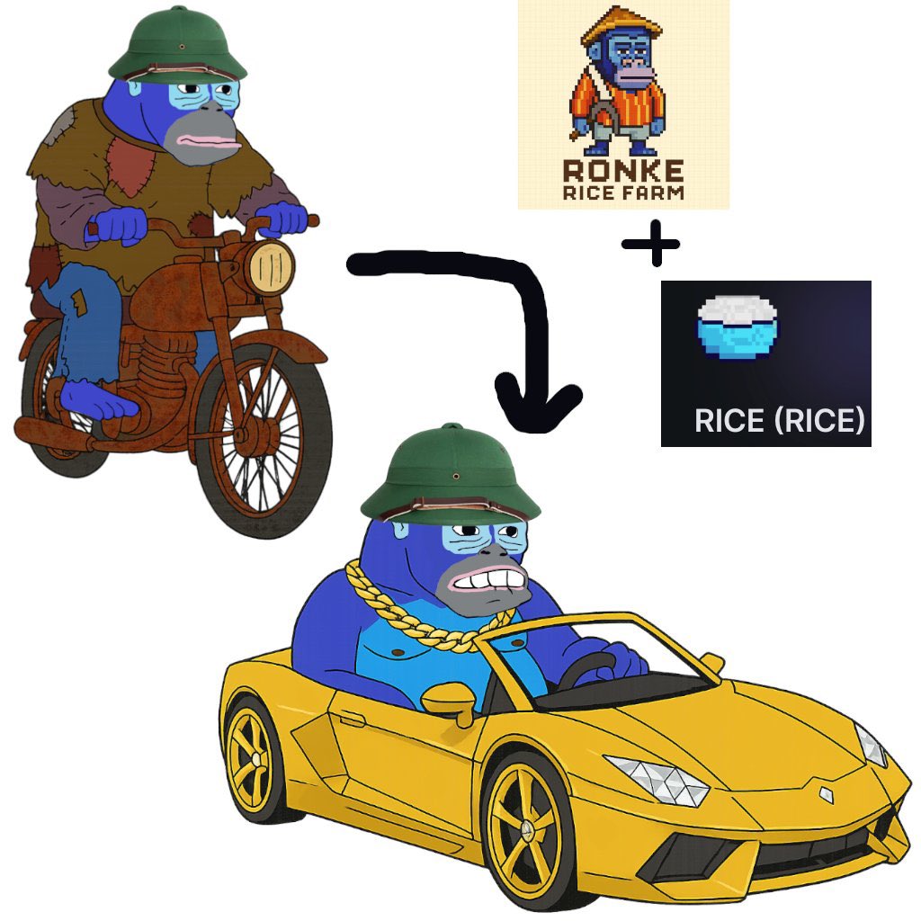 Maut0x's tweet image. GM $RONKE