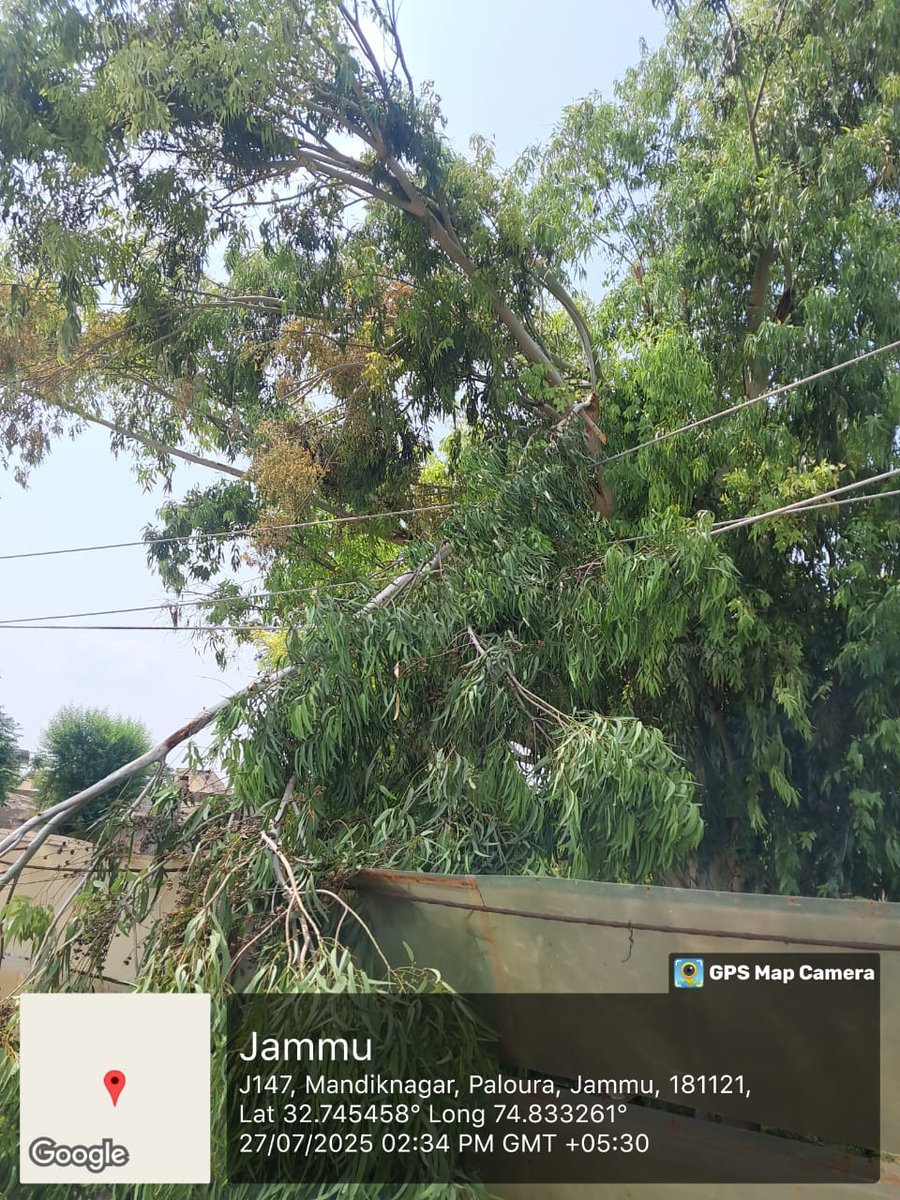 Electric Division-III, JPDCL (@ed3jpdcl) on Twitter photo A big tree fell on 33KV Janipur Muthi line. Restoration work started. A big tree fell on 33KV Janipur Muthi line. Restoration work started.