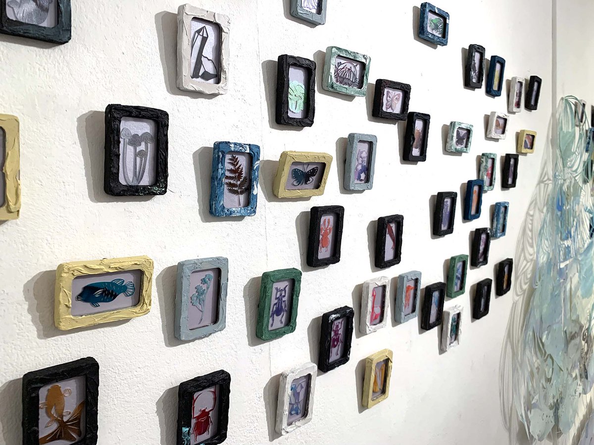 DFGHarajuku's tweet image. 【最終展示のご案内】

わたしの標本箱
2025/07/26 – 07/28
[EAST 203]

切り絵作家craneさんの個展がEAST2階で開催しました✨
淡い色合いの切り絵で出来た標本に見惚れてしまいます。
 
【展示レポート】
designfestagallery.com/%e3%82%8f%e3%8…