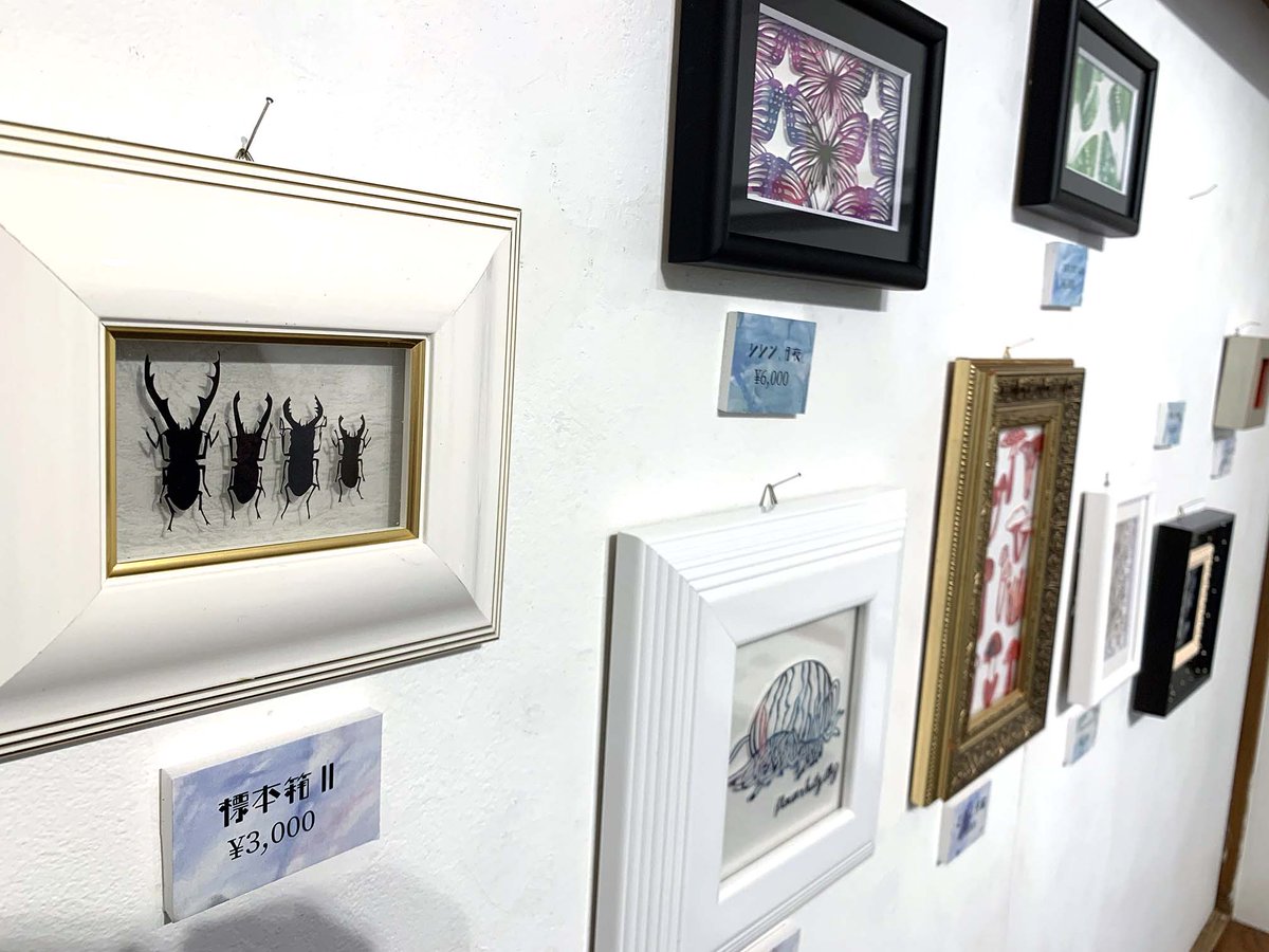 DFGHarajuku's tweet image. 【最終展示のご案内】

わたしの標本箱
2025/07/26 – 07/28
[EAST 203]

切り絵作家craneさんの個展がEAST2階で開催しました✨
淡い色合いの切り絵で出来た標本に見惚れてしまいます。
 
【展示レポート】
designfestagallery.com/%e3%82%8f%e3%8…