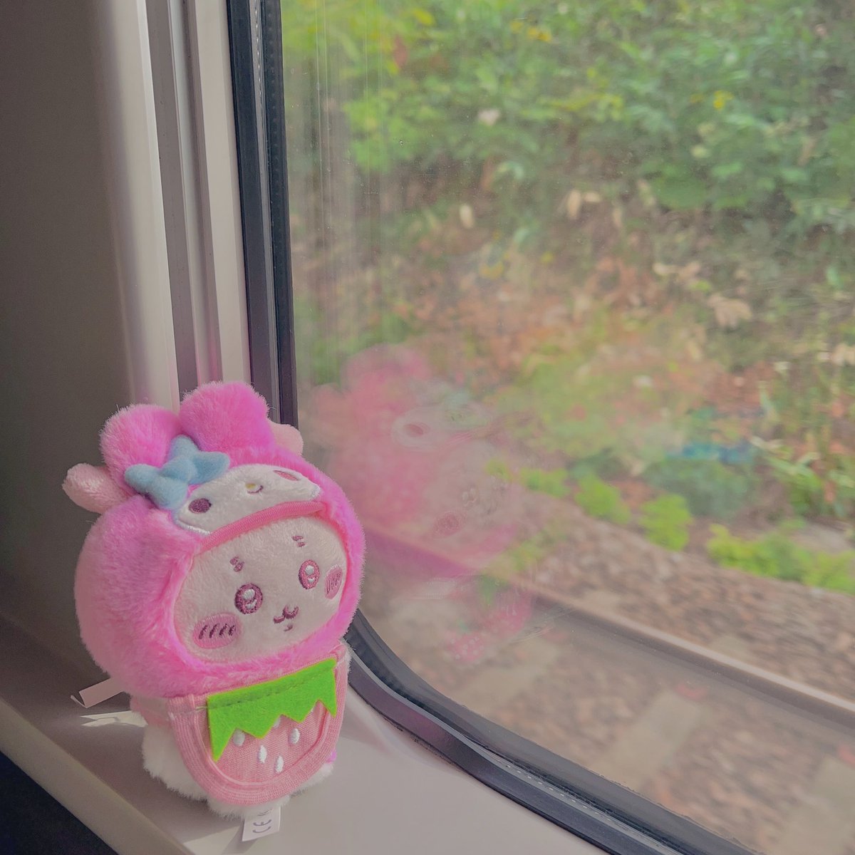 310imoo's tweet image. かにちゃんとおでかけ🌷