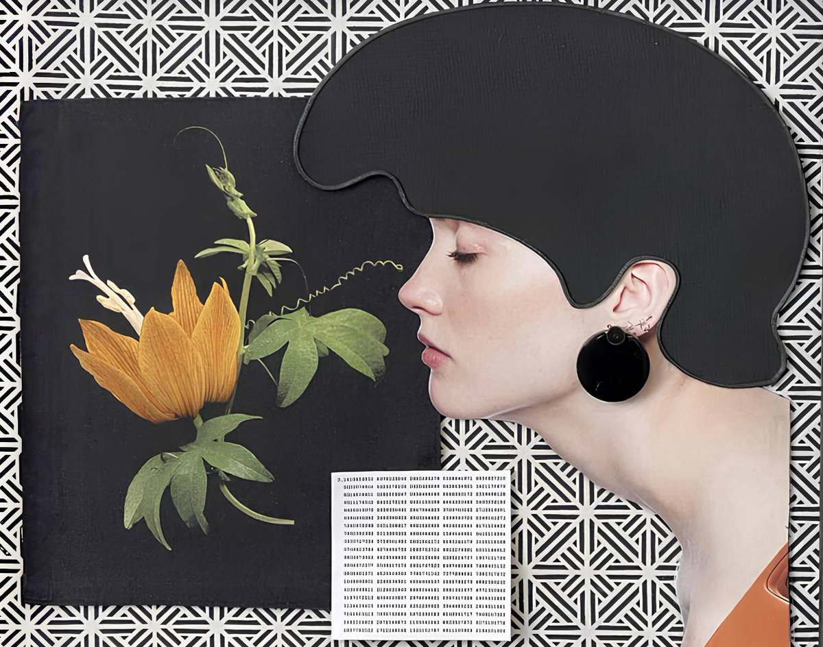 Bazhenova tweet media