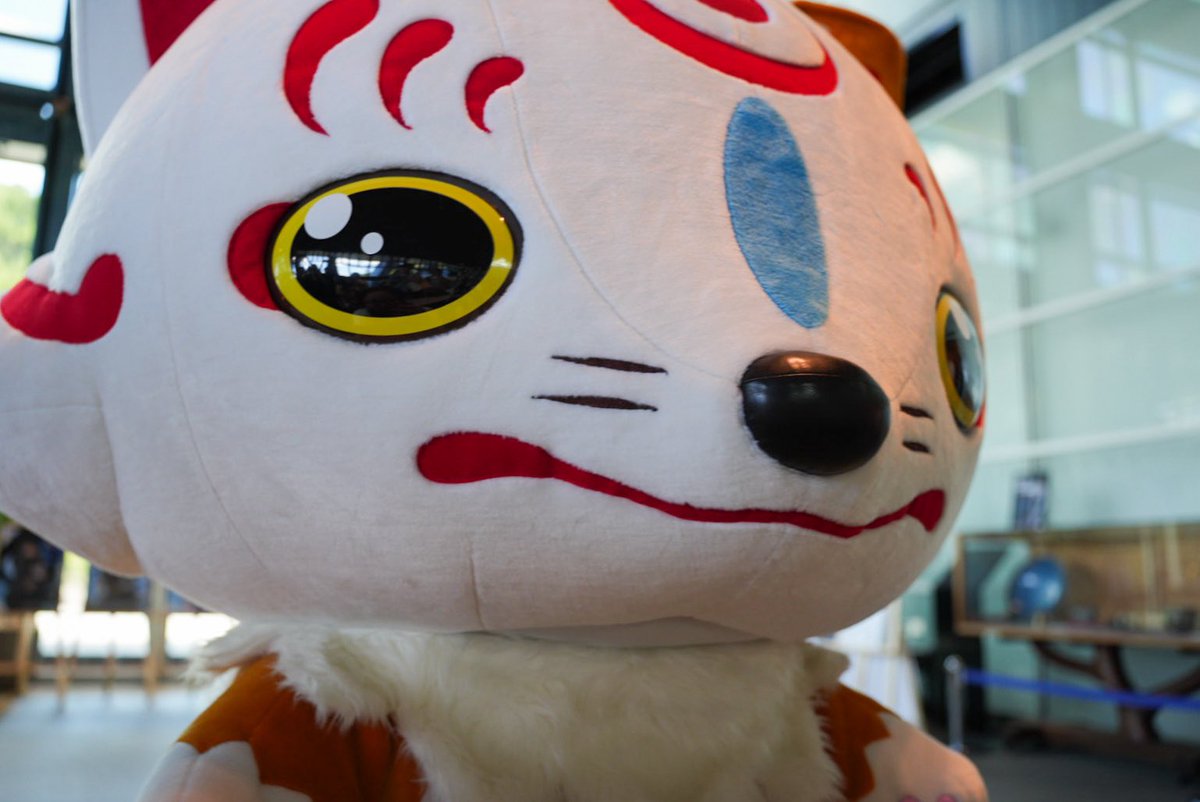hawkstaruver_go's tweet image. こんのすけがファンサの鬼で草
(2025.07.26)