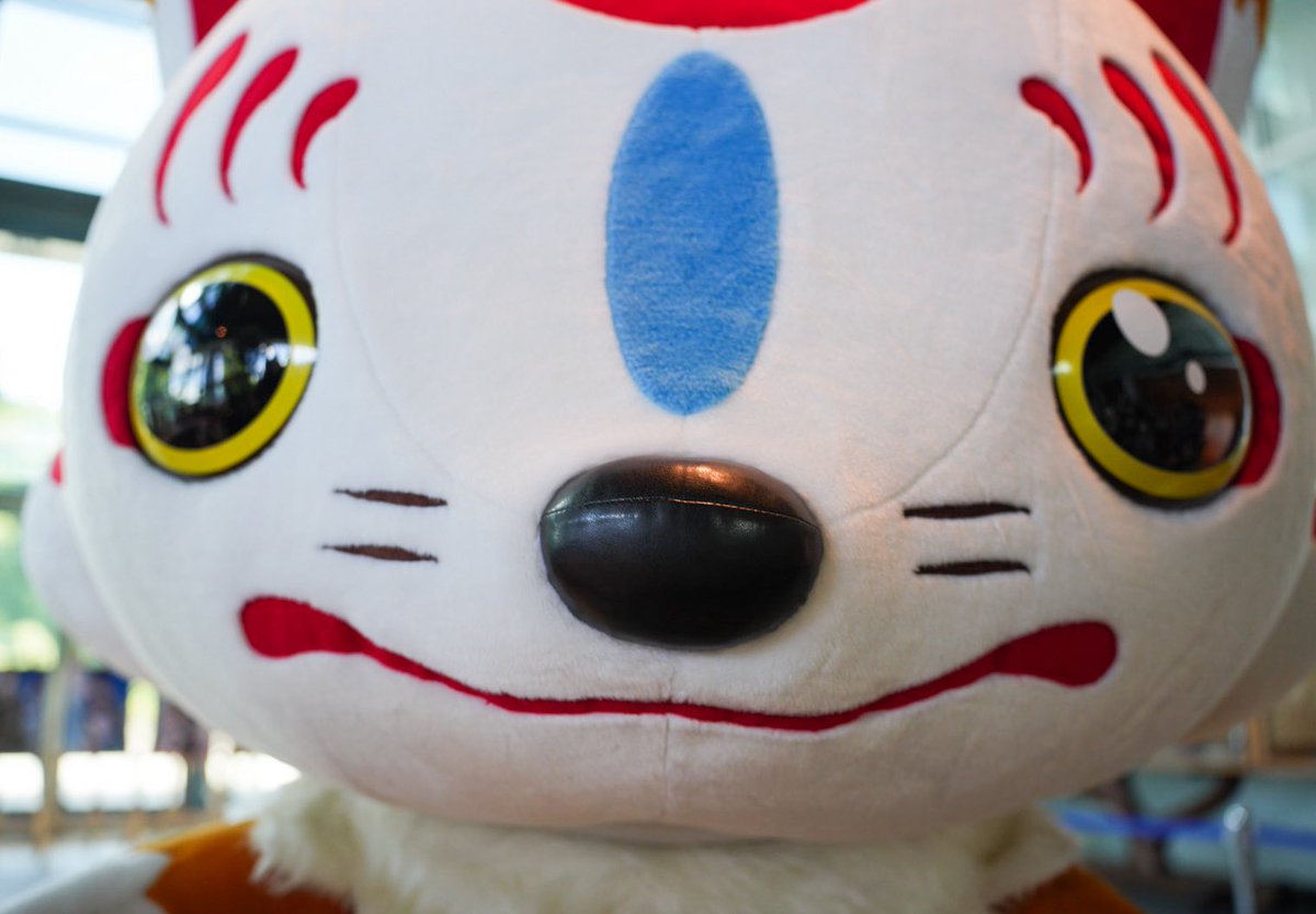 hawkstaruver_go's tweet image. こんのすけがファンサの鬼で草
(2025.07.26)