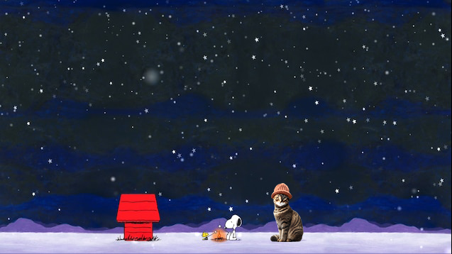CWIFcats's tweet image. Stargazing with furry gang $cwif