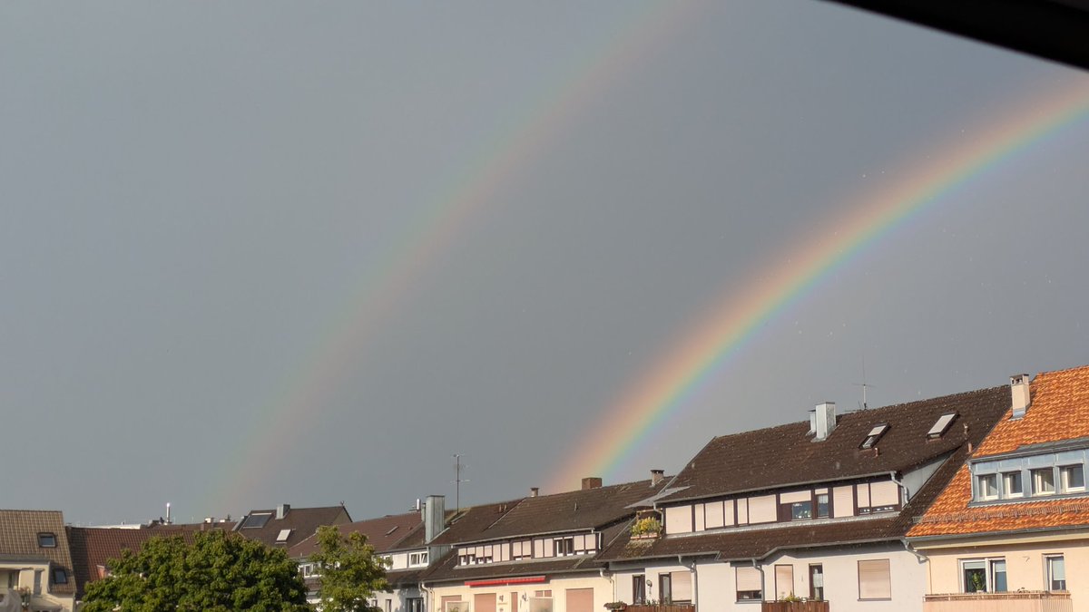 AlexanderWallb9's tweet image. Gestern nach dem Gewitter, Double pleasure 😊.