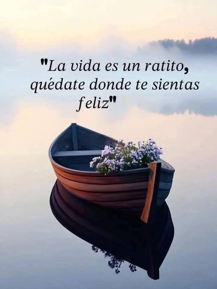 VidaEquilibrada (@vidaequilibrad4) on Twitter photo 