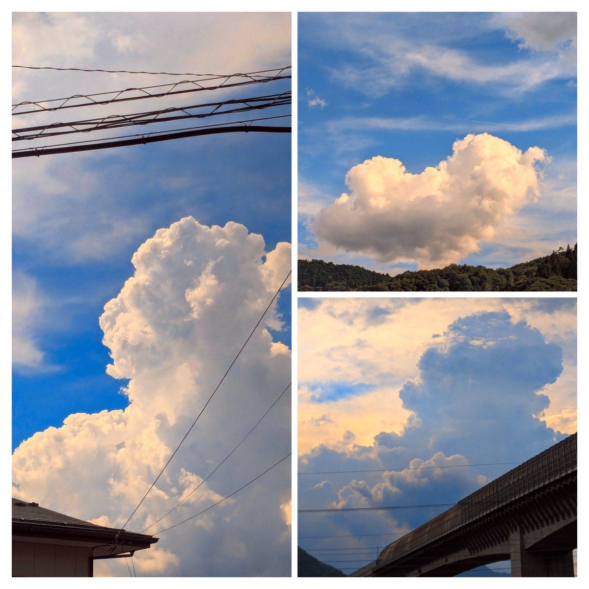tohi104desu1's tweet image. 今日の入道雲

結局夕立は降らなかった