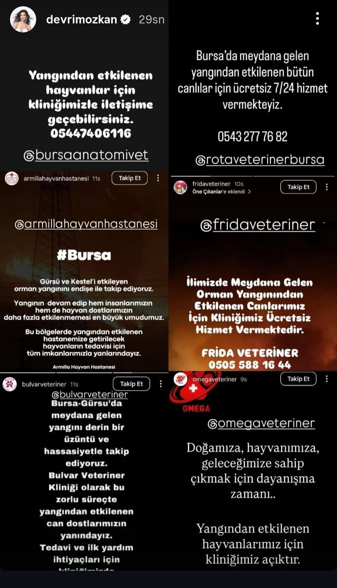 Hanife287's tweet image. yangından etkilenen hayvanlar için
Devrim Özkan IG story
#TürkiyeYanıyor
#DevrimÖzkan