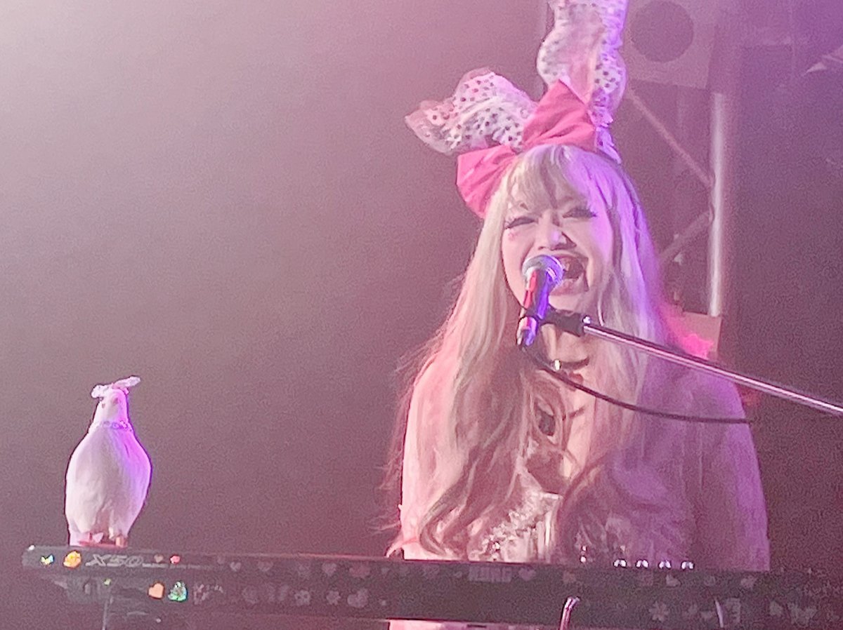 paddyphield's tweet image. 【スタッフ単独】
昨日(7/26)、The Maniaの次に登場したのは、みんな大好きHERSHEY’s💕
やっぱり夏には「恋のバブルガムサマー」が似合うし、ラストにやった「町一番のブギーバンド!!」の星まで飛べそうなグラマラスな疾走感、最高でした!💫