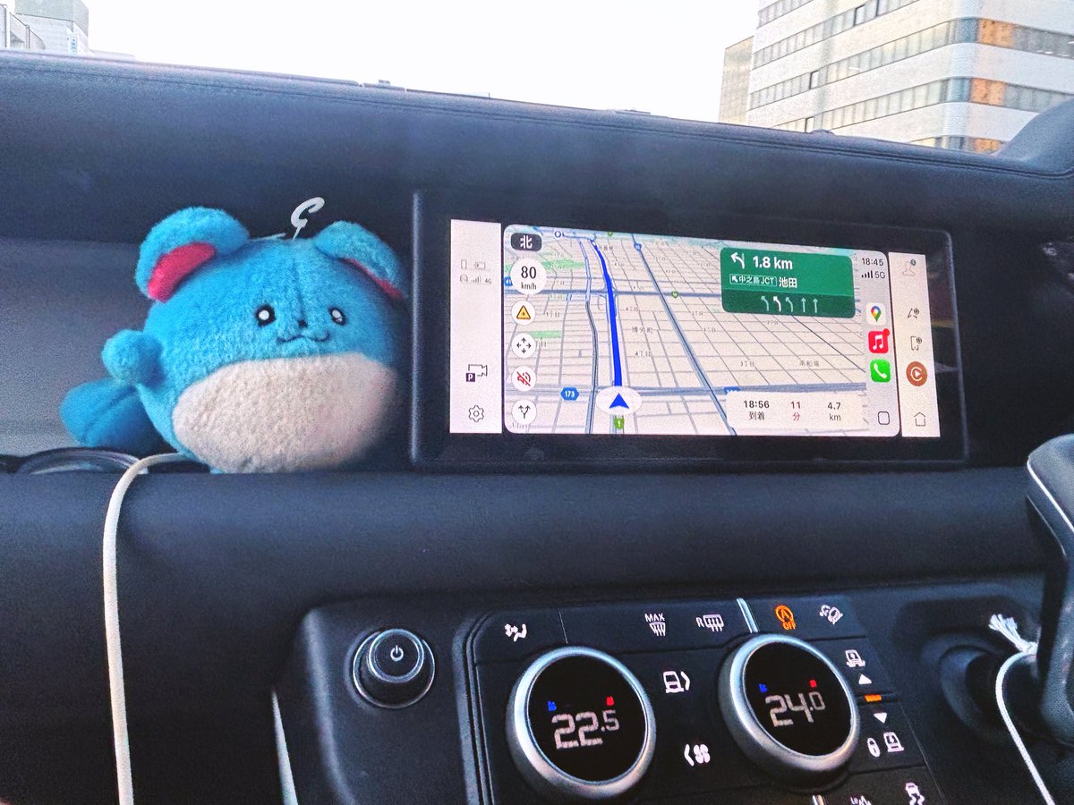 urinuinui's tweet image. 適当ナビゲーターマリル
\ つぎはおそらく右？ﾏﾘ～ /