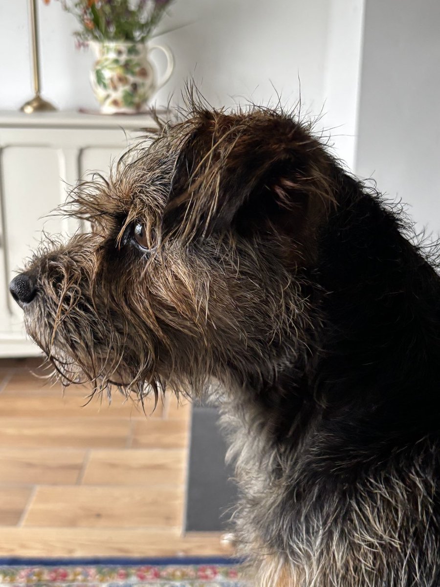 AingeBarbara's tweet image. It was wet this morning 💚💛up Dún na nGall…
