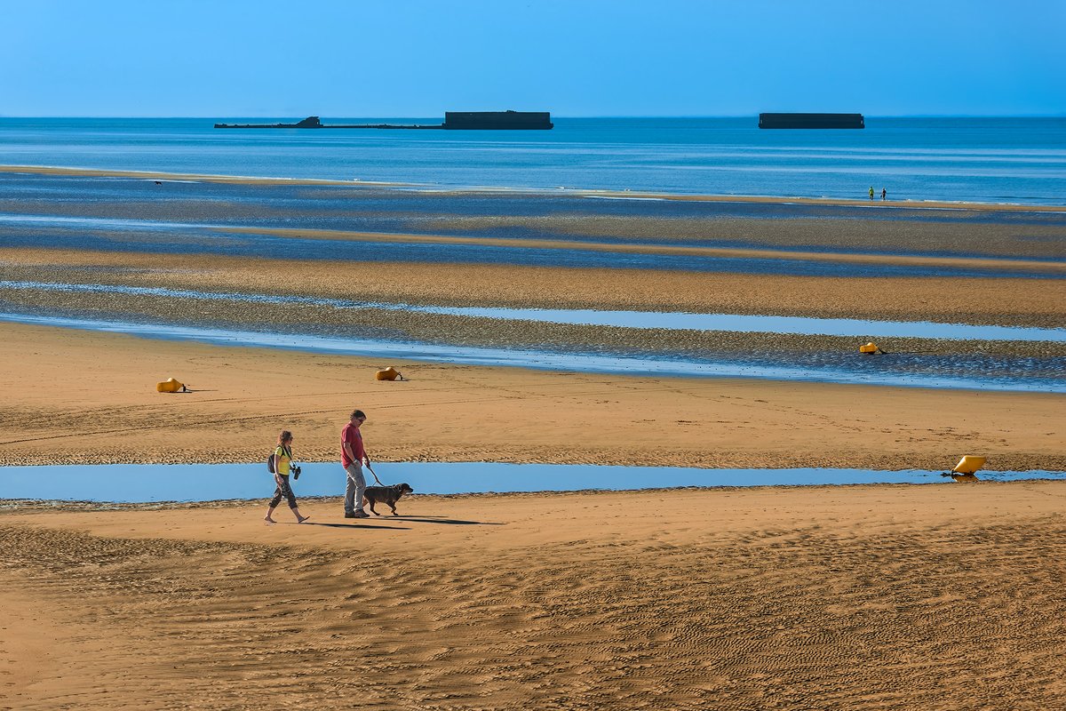 JureYurko's tweet image. Normandy