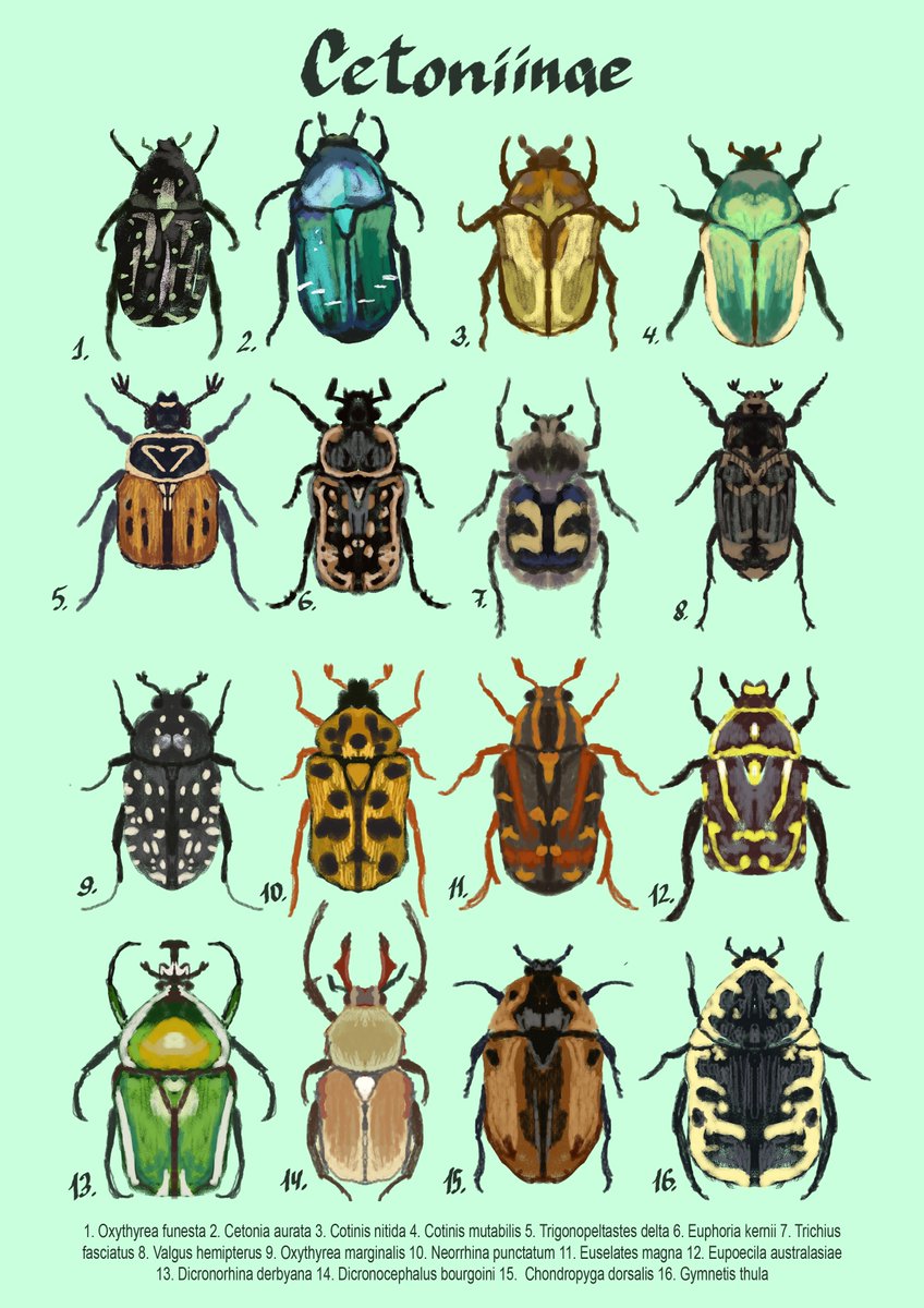 БРОНЗІВКИ!!! :)
#украрт