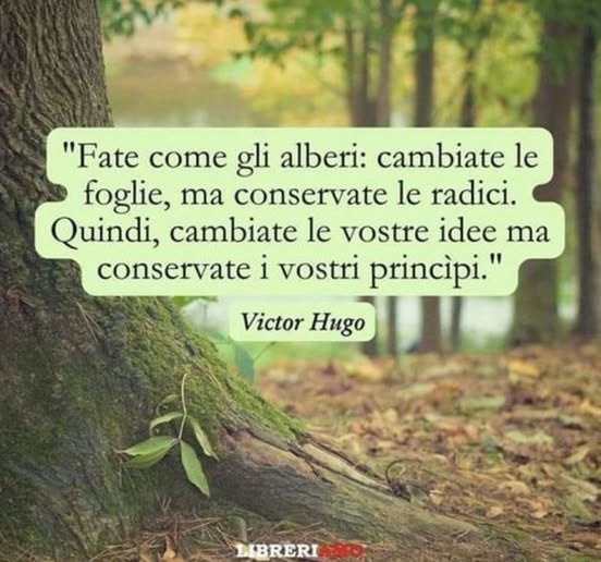 AlzogliOcchiversoilCielo (@alzogliocchi) on Twitter photo 