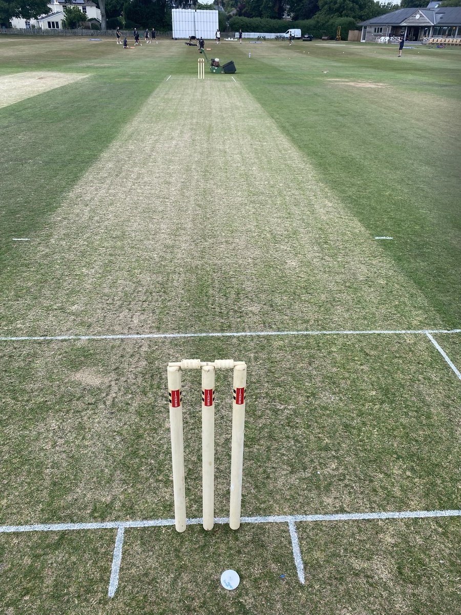 Wimborne CC tweet media