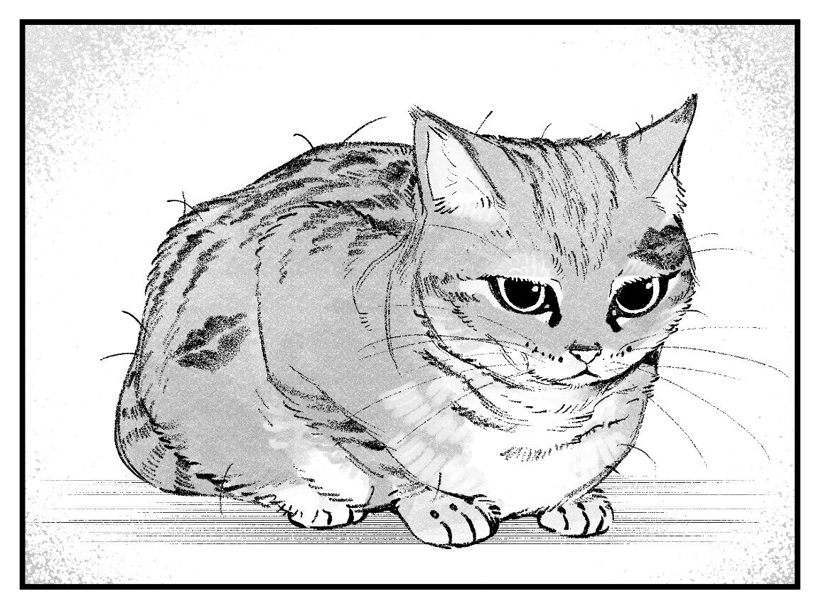 agil548g6h6's tweet image. 終究是小貓咪承受了所有。#shipi