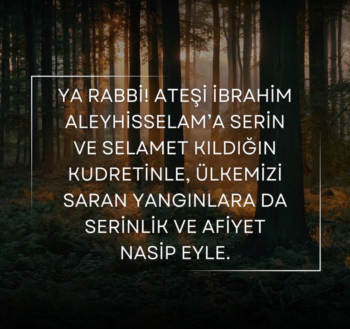 Yurdanur Mut (@mutyurdanur) on Twitter photo 