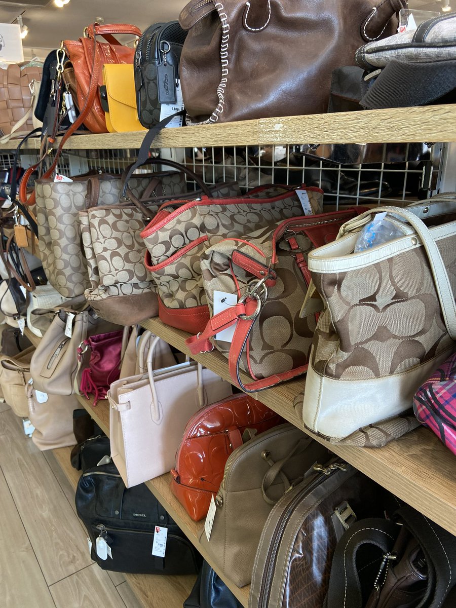 kforkinsley's tweet image. another best buy aku : tas longchamp udah gitu dapet harga beda 1 juta kl di store indo (casenya beli tahun ini)
selain longchamp best buy aku tuh totebag coach.. thrfiting dapet 160ribu 😭✨
