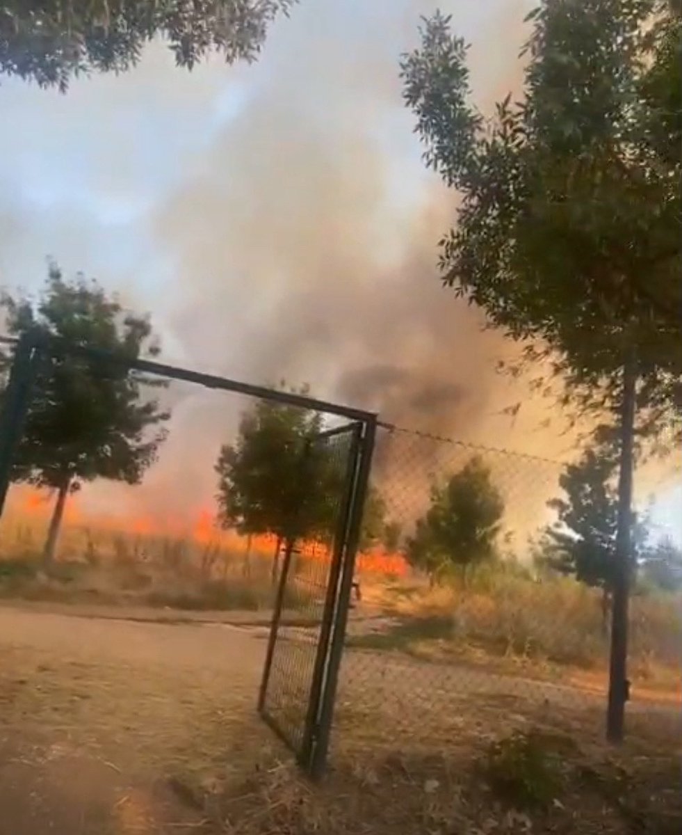 1Millón de Árboles X El Cambio Climático-Alcalá (@alcalaverde1) on Twitter photo ⸻
🔥 Mostramos nuestra profunda preocupación por los incendios en Alcalá de Henares.
🌳 Hemos solicitado una reunión urgente con la Concejalía de Medioambiente para exigir explicaciones, conocer las consecuencias y reclamar medidas reales para que esto no vuelva a repetirse. ⸻
🔥 Mostramos nuestra profunda preocupación por los incendios en Alcalá de Henares.
🌳 Hemos solicitado una reunión urgente con la Concejalía de Medioambiente para exigir explicaciones, conocer las consecuencias y reclamar medidas reales para que esto no vuelva a repetirse.
