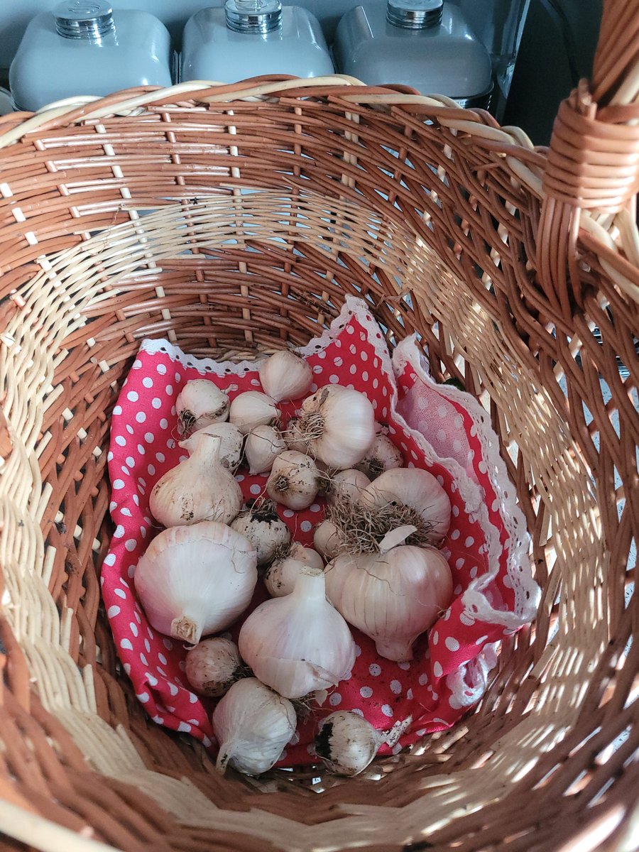SkyDiaryScot's tweet image. Time to preserve some garlic