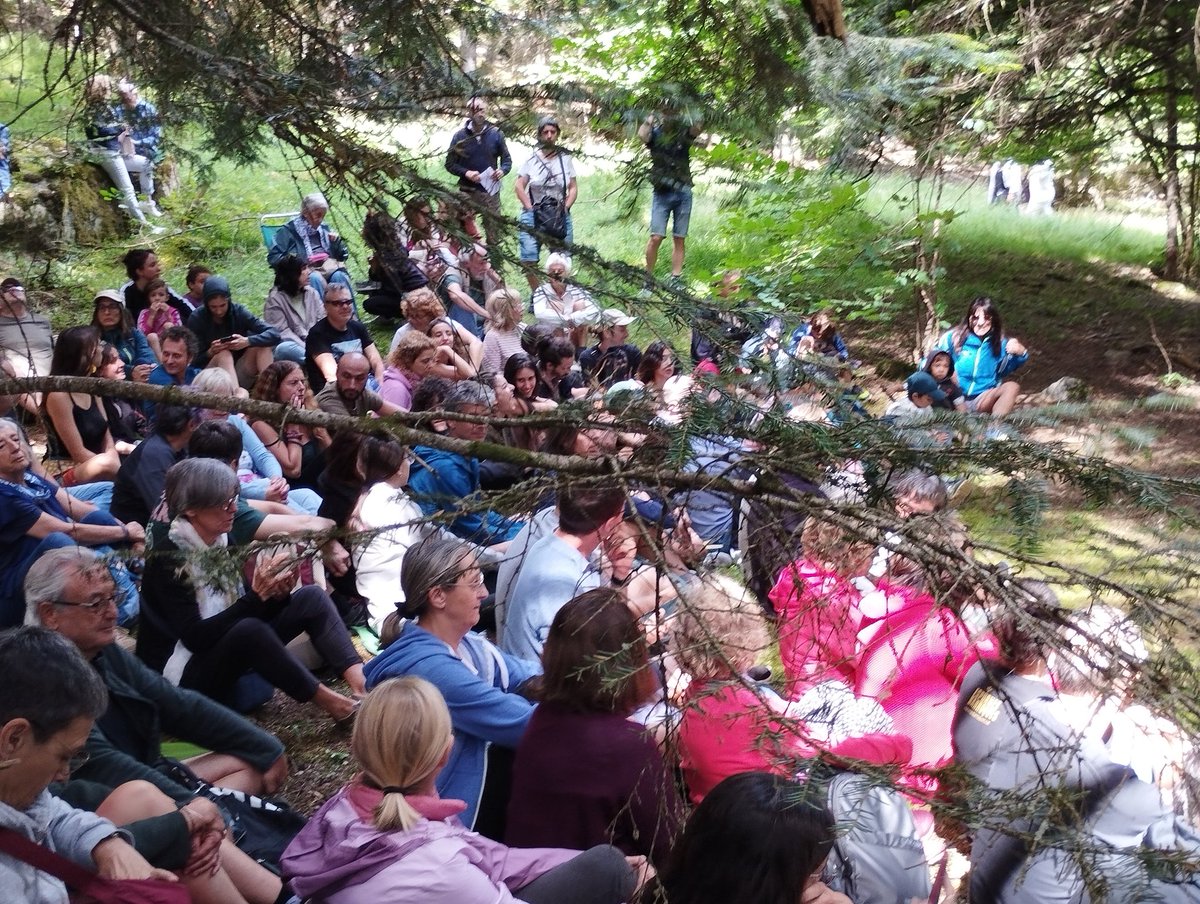 nandocruz32's tweet image. Un escenari. Una platea.
Una altra mena de festival.
El Dansàneu.