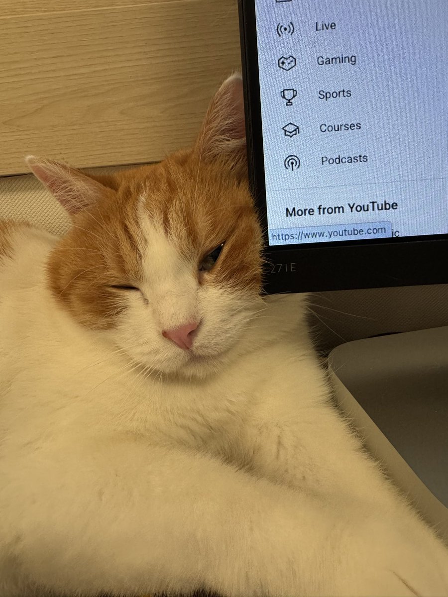 똥강아지는 여전히 우리집에서 제일 귀엽고 건강하고 뻔뻔하다

덕분에 행복을 틈틈이 느끼는 이 여름