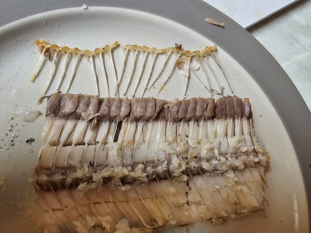 육고기를 못먹은지 일주일이 지났음.

이유식 떼고 처음인듯.

아쉬운대로 버섯구이와 갈치구이로...
그래도 맛은 있으니.

하악 내일은 꼭 병원을 가봐야겠음.