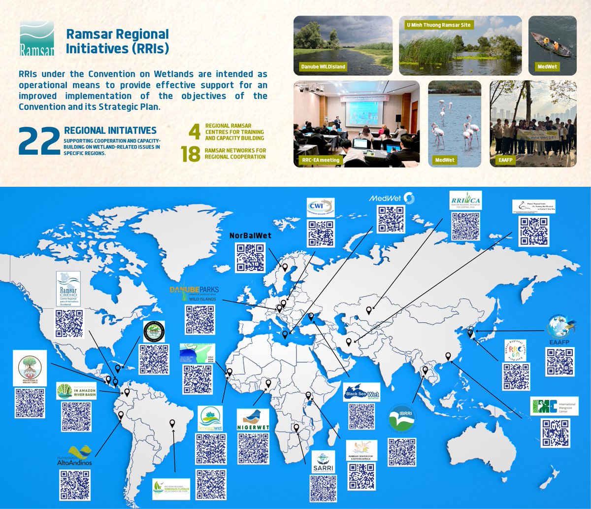 Today at #RamsarCOP15: side event "Ramsar Regional Initiatives (RRIs) – delivering for <a href="/RamsarConv/">Convention on Wetlands</a> globally through regional partnerships".

The event celebrates RRIs' achievements &amp; highlights case studies, success stories, &amp; their contributions to the Convention’s objectives.