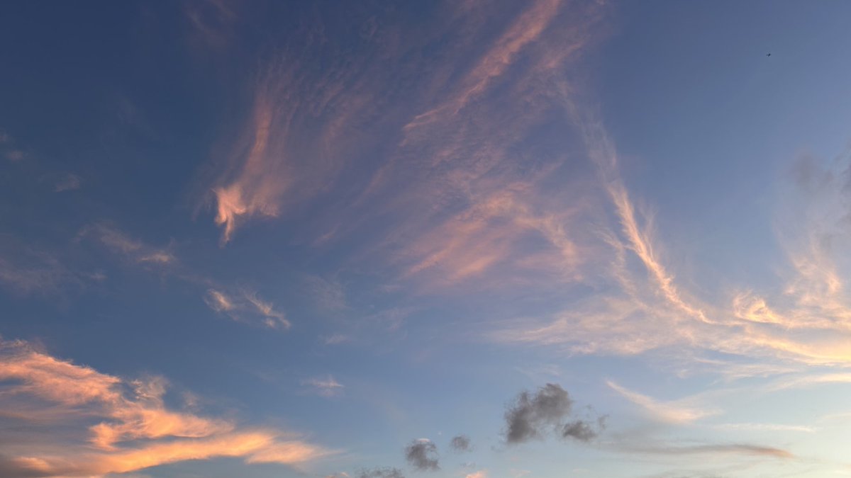 To_mock's tweet image. きょうのそら。