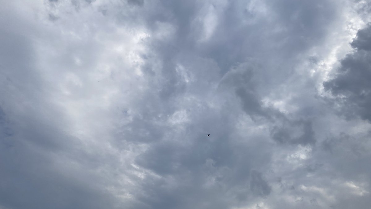 今日は晴れてなかったねぇ〜ｗ