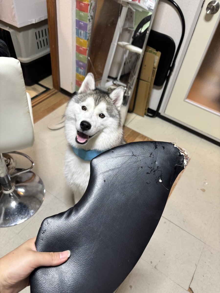 rn2312412's tweet image. 
