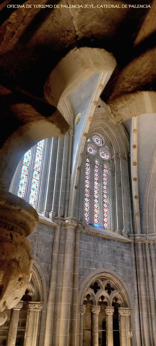 CyLEsVida's tweet image. Catedral de Palencia
No es sólo un lugar,… es una experiencia.
Arte, historia, emoción.