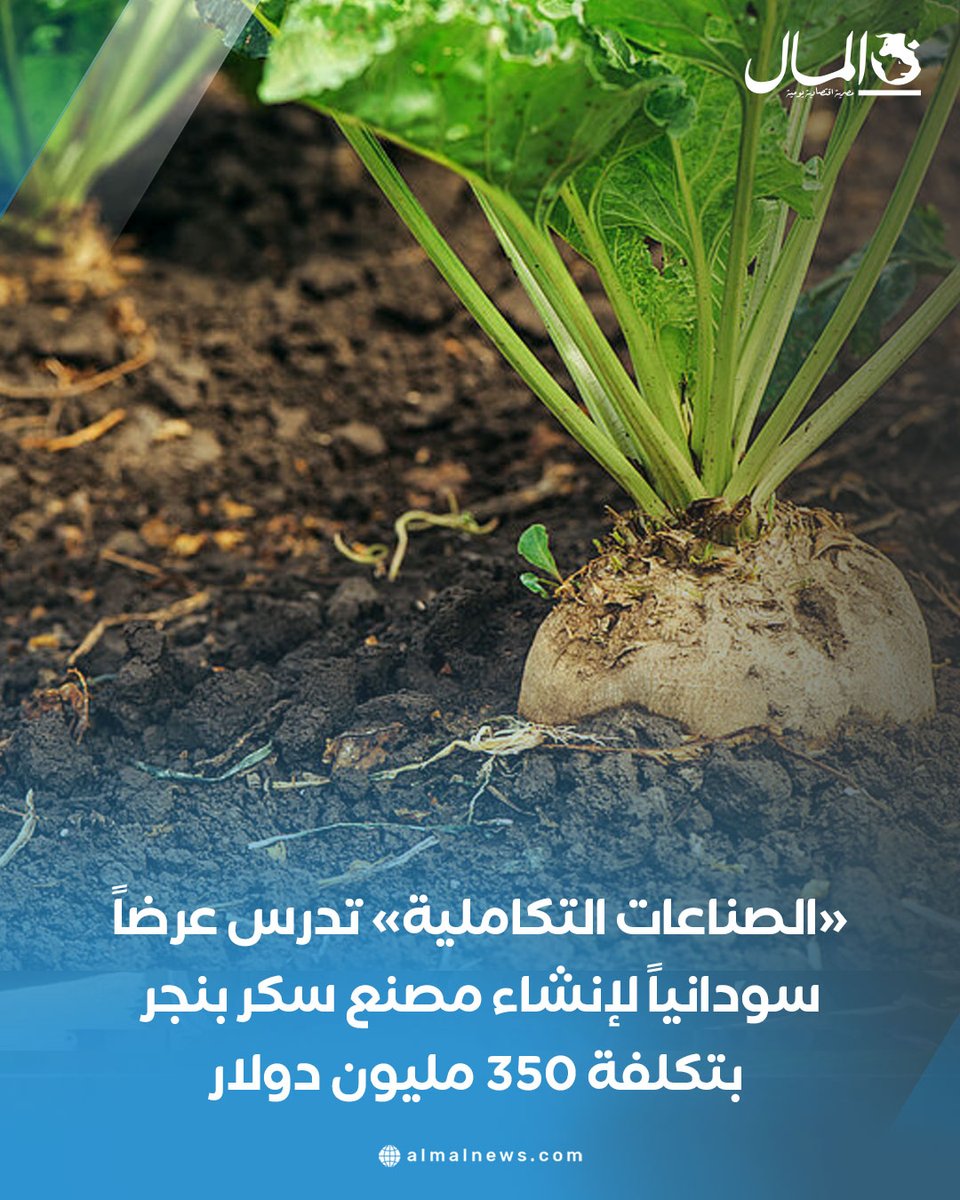 AlMalWeb's tweet image. «الصناعات التكاملية» تدرس عرضاً سودانياً لإنشاء مصنع سكر بنجر بتكلفة 350 مليون دولار
للتفاصيل : almalnews.com/2067589/