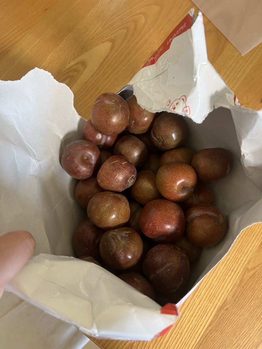 レターパックで届いた琉球すもも🫶
此処では売ってないから嬉しい☺️

贅沢…❤️