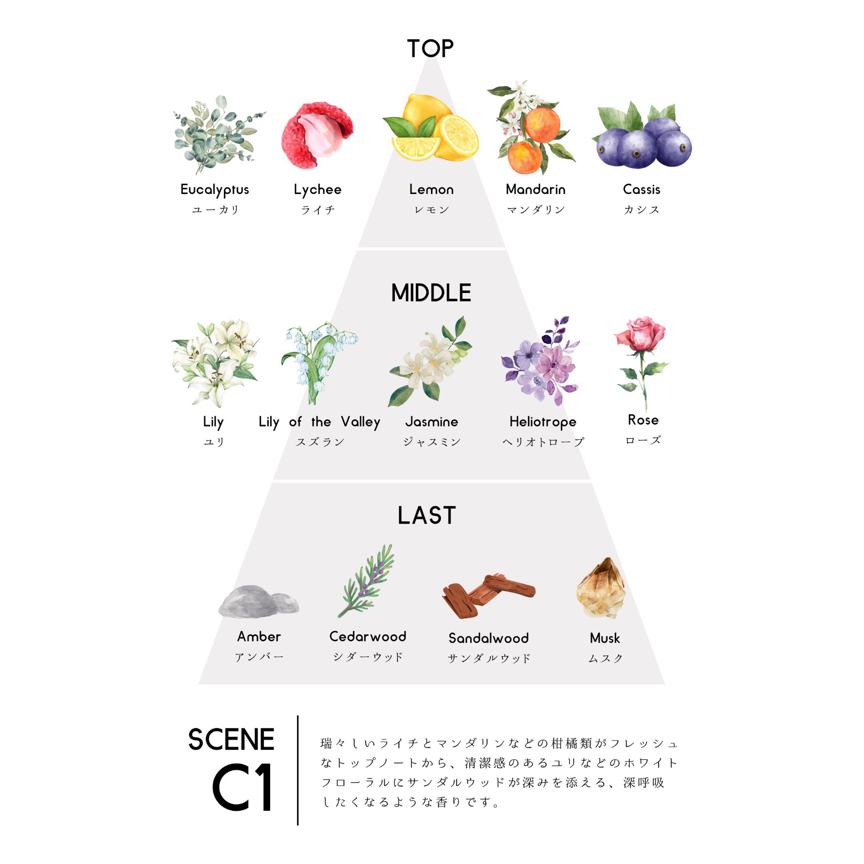 ▽ 香水8点 まとめ売り Dior GUCCI 他 ▽ 香水8点 まとめ売り Dior GUCCI 他 本日発売です🩷