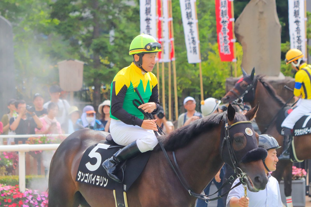 Hanro51s's tweet image. 山田オーナー勝負服の典さん見れるの嬉しい過ぎ🥹