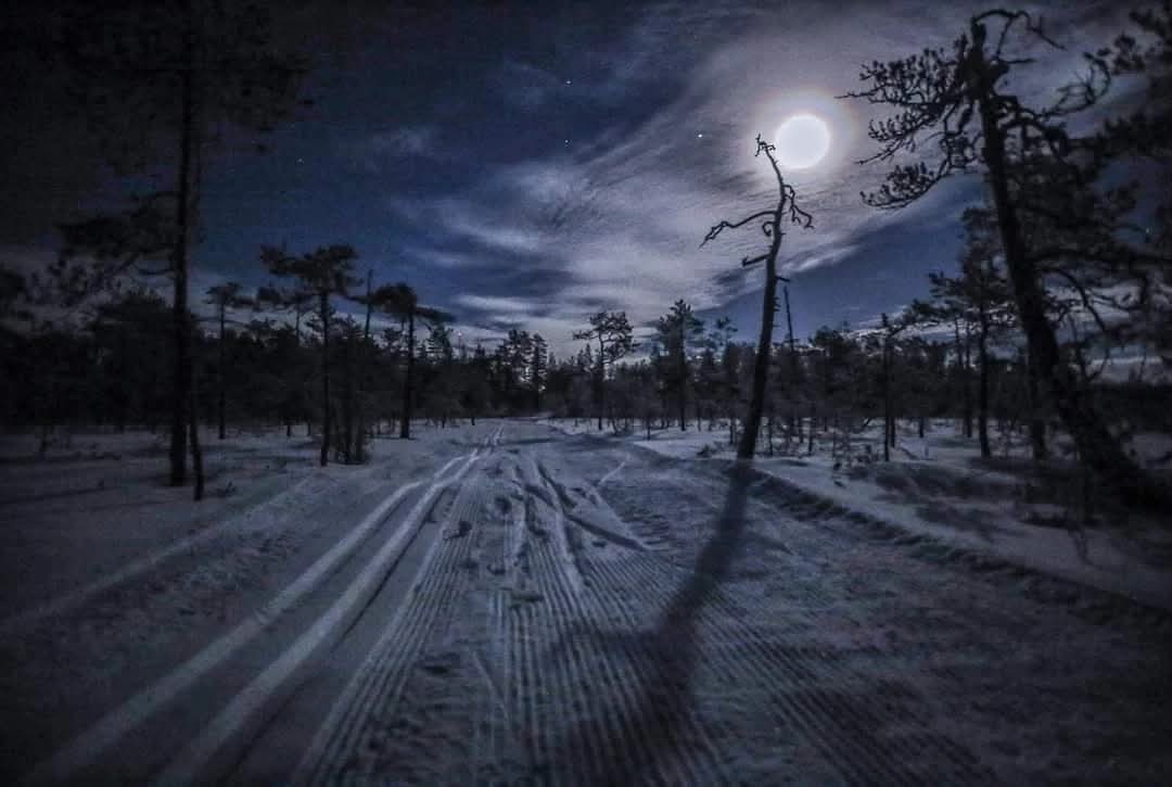 PHatunen's tweet image. Tammikuun kuutamo ja pakkasta
-26C...2014.😊