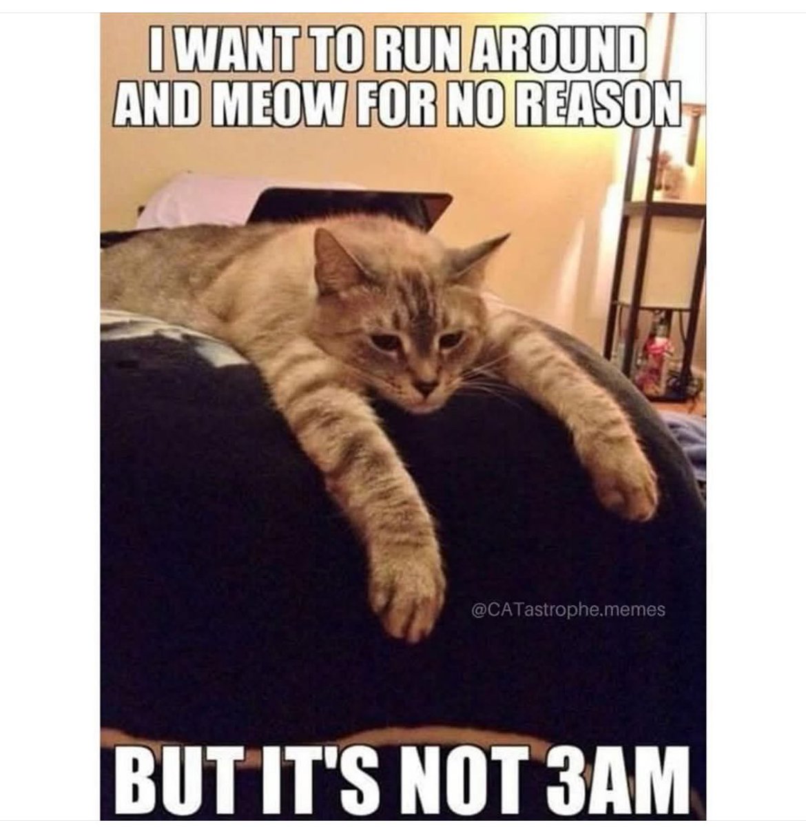 Britton65Sam's tweet image. Funny cos it’s true 😂😂happy Sunday x folks ❤️😂❤️