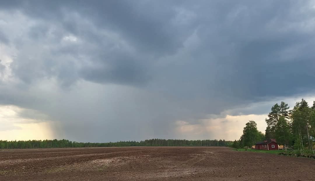 PHatunen's tweet image. Ukkoskuuroja Vaalassa 27.7.2024.
Nytkin saisi sataa kun on ollut tukalaa hellettä.😊