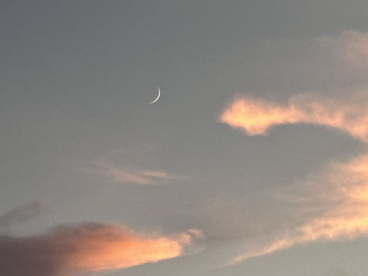 fuyunt's tweet image. 三日月でてるよ🌙