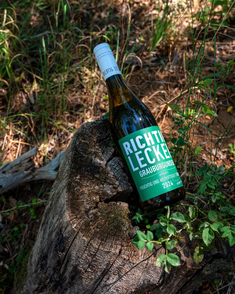 Our estate-grown Pinot Grigio (Richtig Lecker Grauburgunder) is made from hand-harvested grapes grown in the cooler zones of our vineyards, where early picking helps retain natural acidity and a delicate pale hue.
