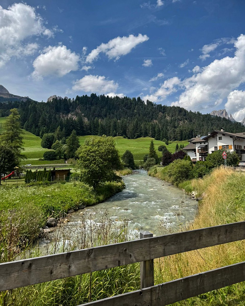 Brooke Norton-Cuffy tweet media