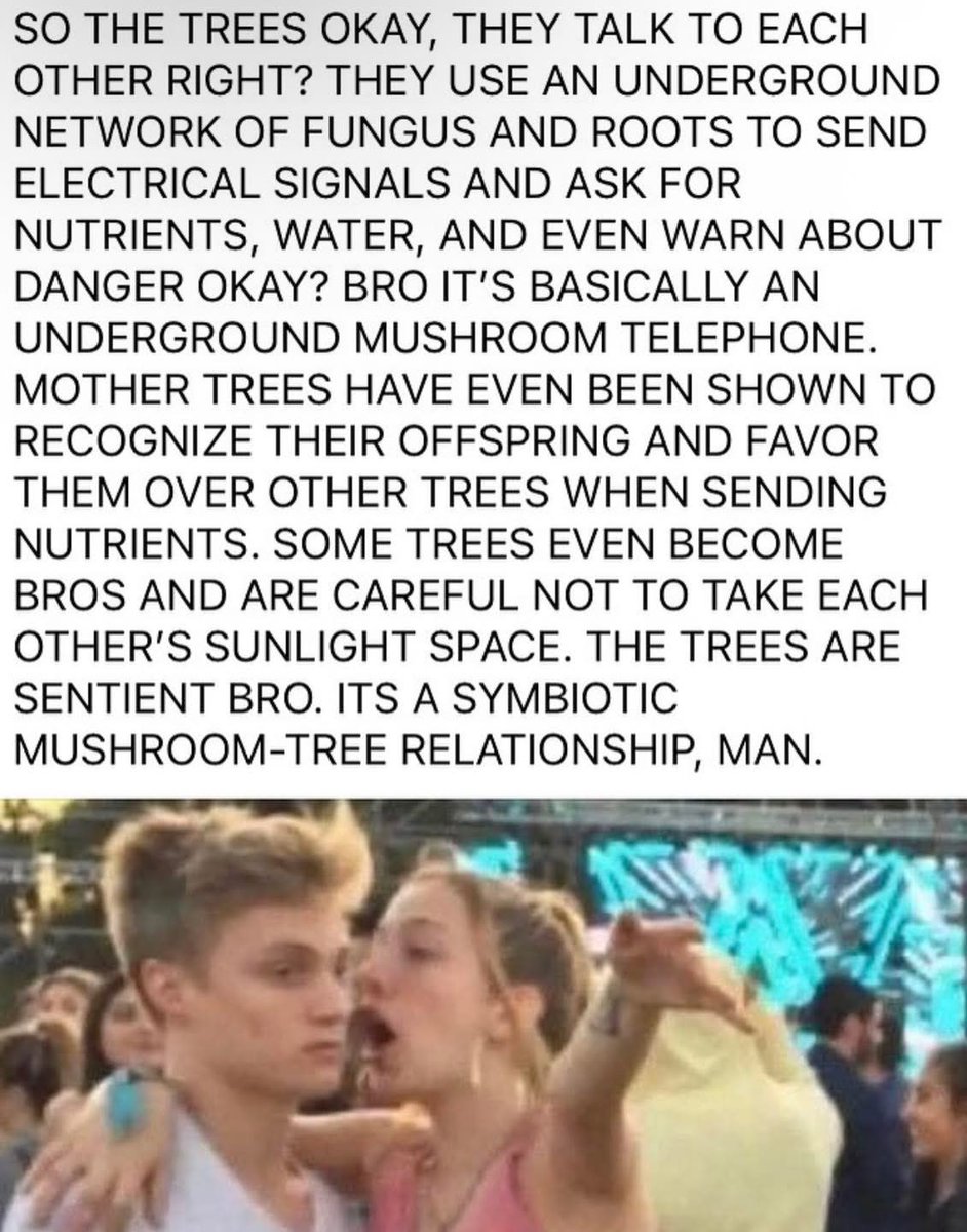 macrocult's tweet image. 